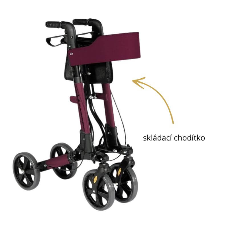 chodítko pro seniory BestBerg2